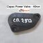 Capac Power Valve