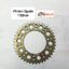 Pinion Spate